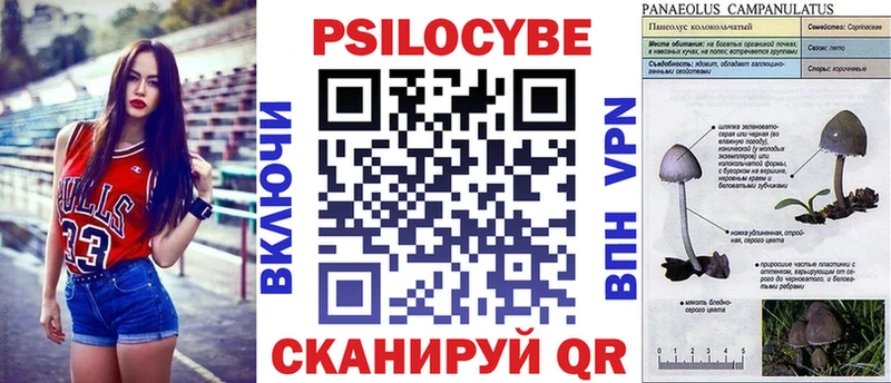купить наркотики цена  Новосибирск  Псилоцибиновые грибы GOLDEN TEACHER 