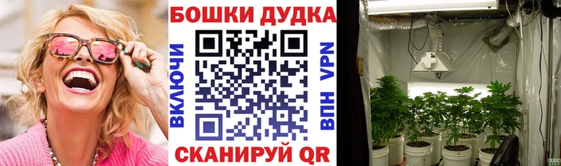 даркнет сайт  Новосибирск  Каннабис THC 21% 
